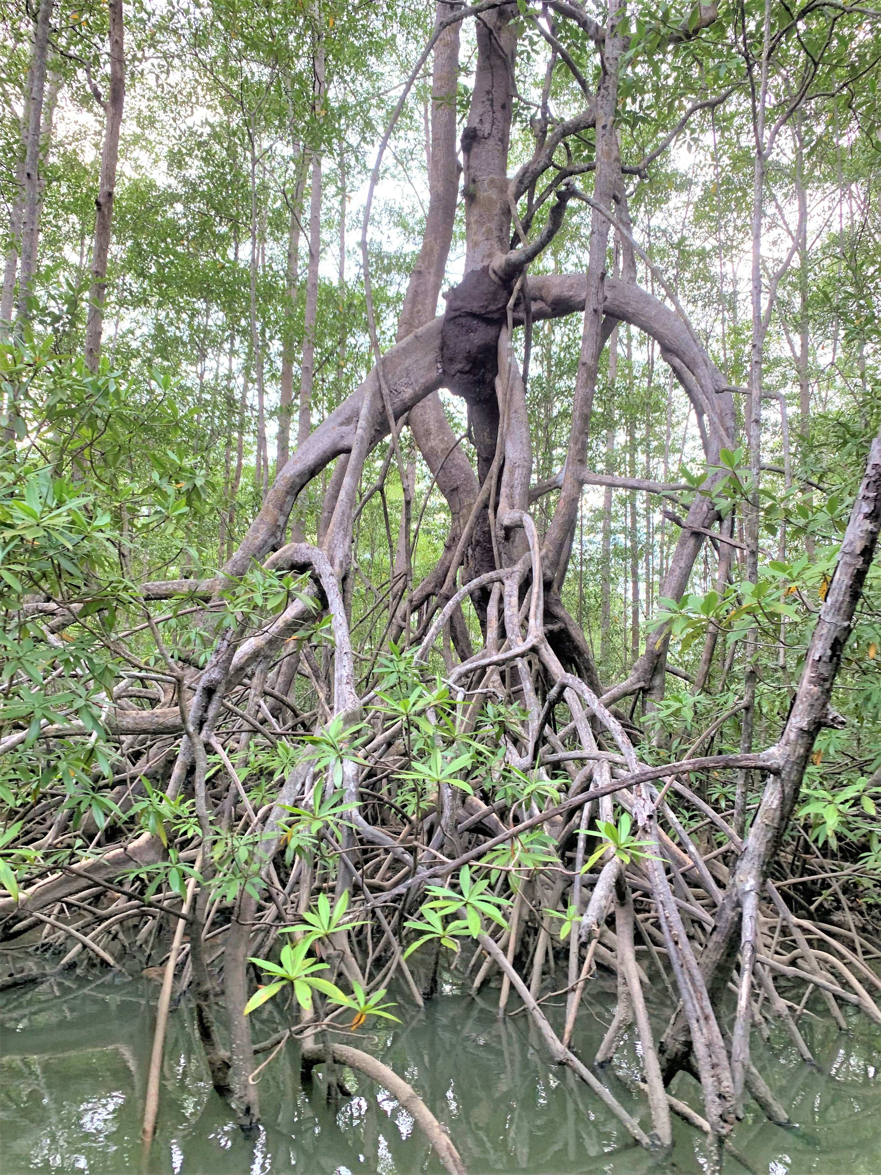 Costa Rica